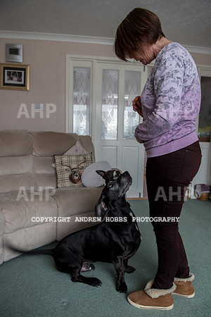 Sharon Gilbert-Muir and Bramble-9520