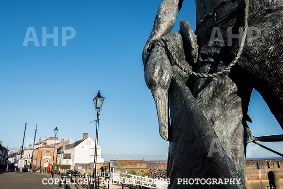 Doniford Bay - Haven Holidays-9745