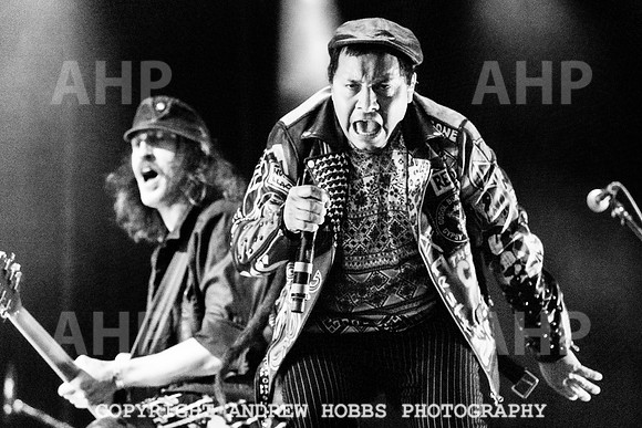 Gogol Bordello - Bearded Theory 2023-0820