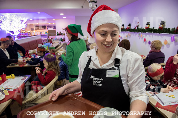 Wyevale Christmas breakfast and tinsel-7857