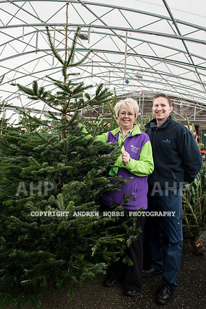 Wyevale ND Hospice Christmas tree-6761