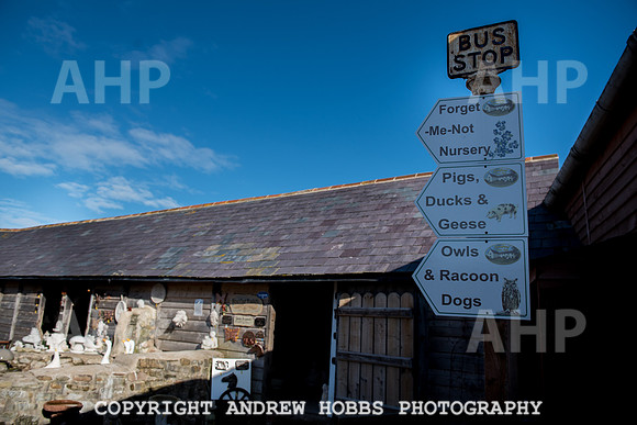 Doniford Bay - Haven Holidays-9840