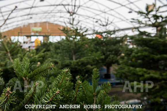 Wyevale Christmas breakfast and tinsel-7823