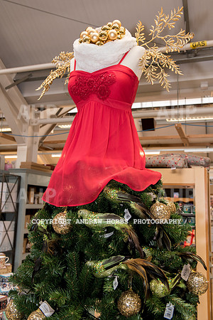 Ashford Wyevale Garden Centre - Santa-6533