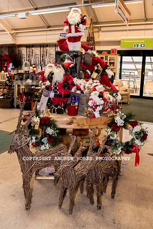 Ashford Wyevale Garden Centre - Santa-6535