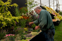 Taunton Flower Show 2014 019
