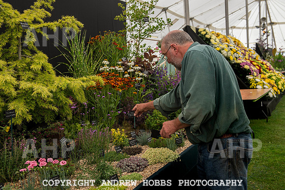 Taunton Flower Show 2014 019