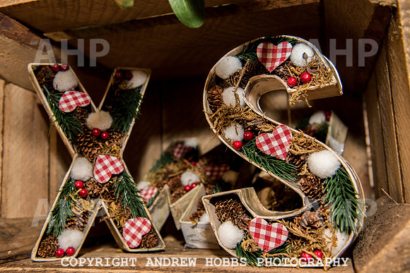 Ashford Wyevale Garden Centre - Santa-6559