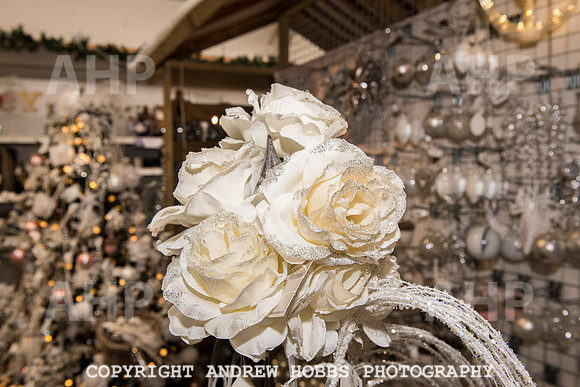Ashford Wyevale Garden Centre - Santa-6615