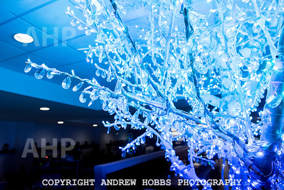 Wyevale Christmas breakfast and tinsel-7807