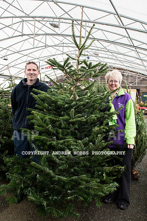 Wyevale ND Hospice Christmas tree-6745