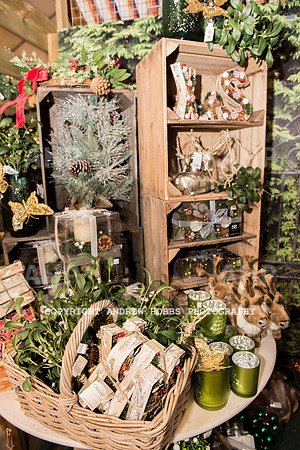Ashford Wyevale Garden Centre - Santa-6557