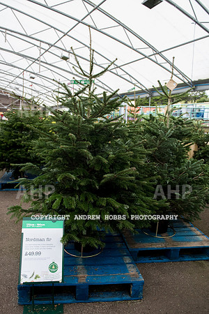 Wyevale Christmas breakfast and tinsel-7809