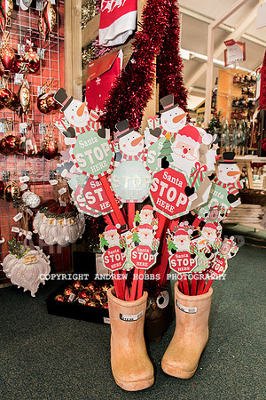 Ashford Wyevale Garden Centre - Santa-6549