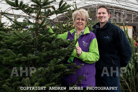 Wyevale ND Hospice Christmas tree-6750