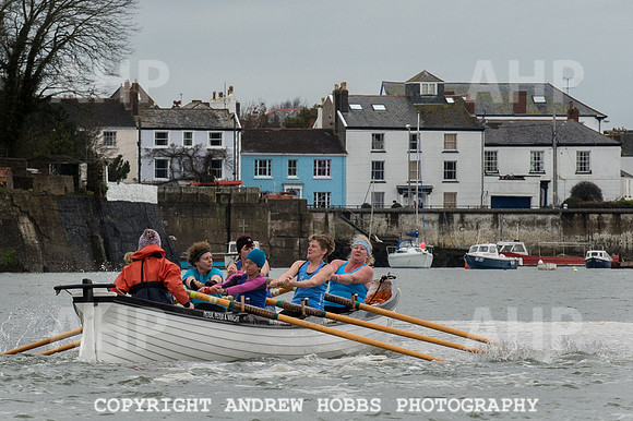 Appledore Supervets 2016-6156