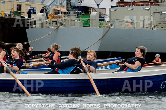 Appledore Supervets 2016-6103