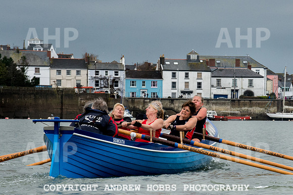 Appledore Supervets 2016-6109