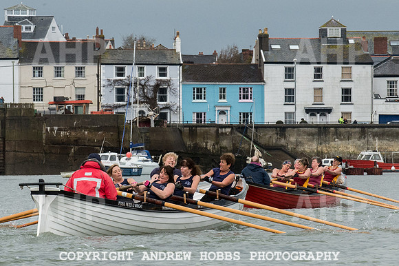 Appledore Supervets 2016-6118