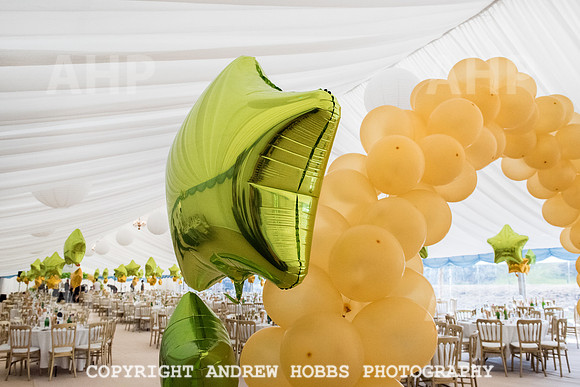 Haven Holidays Doniford Bay Summer Party 2016-0490