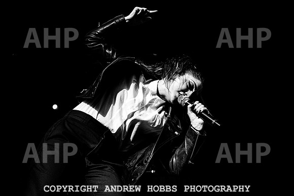 The Interrupters - Beautiful Days 2022-5685