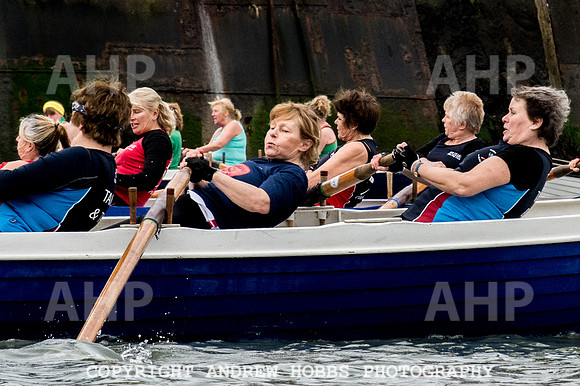 Appledore Supervets 2016-6101