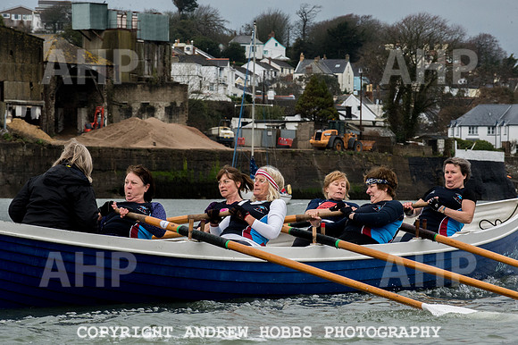 Appledore Supervets 2016-6107