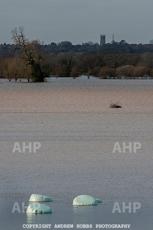 Family farm floods in Somerset, UK