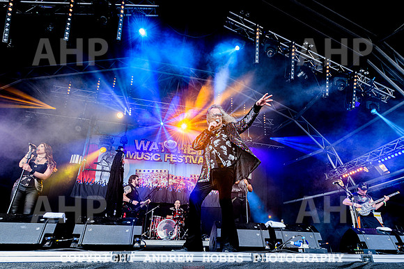 Dr and the Medics - Watchet Music Festival 2022-7169