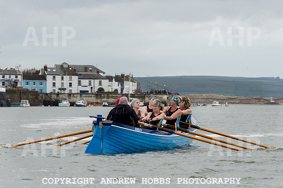 Appledore Supervets 2016-6150