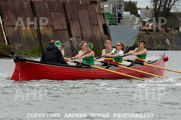 Appledore Supervets 2016-6154