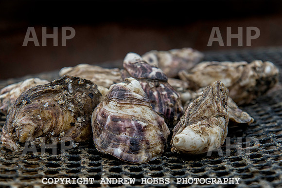Porlock Oyster Beds 004