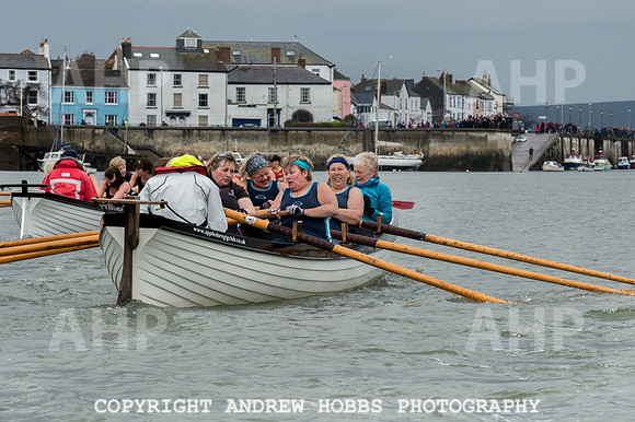 Appledore Supervets 2016-6113