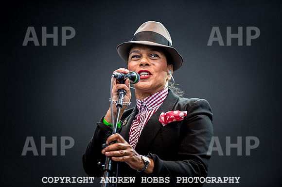 Beautiful Days 2016-4913
