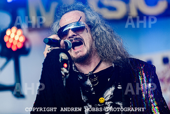 Dr and the Medics - Watchet Music Festival 2022-2956