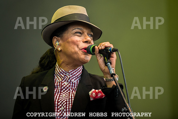 Beautiful Days 2016-4897