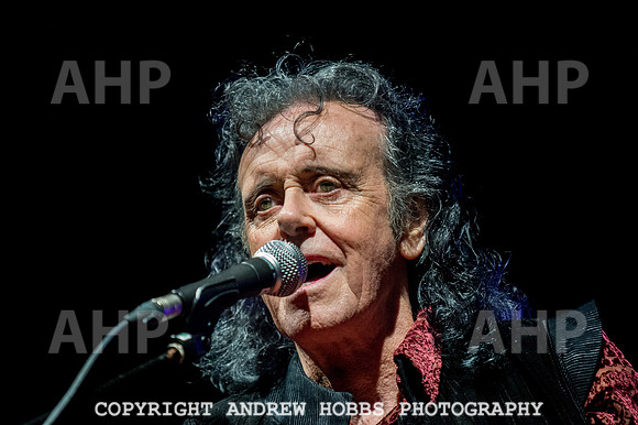Chagstock Music Festival 2016-5022