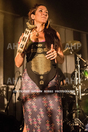 Chagstock Music Festival 2016-2264