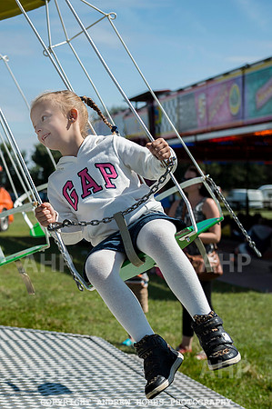 Dunster Show 2014 019