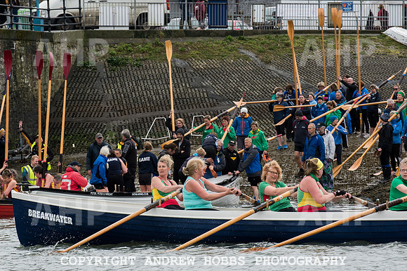 Appledore Supervets 2016-6131