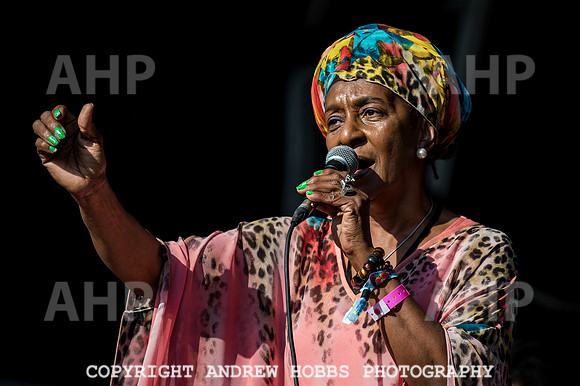 Camp Bestival 2016 2016-6999
