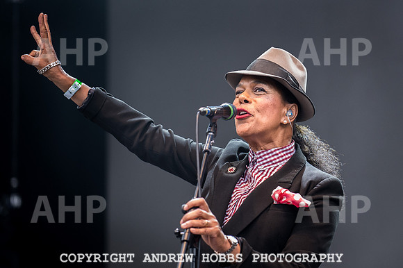 Beautiful Days 2016-4928