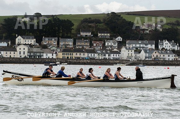 Appledore Supervets 2016-6169