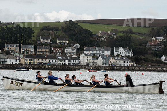 Appledore Supervets 2016-6170