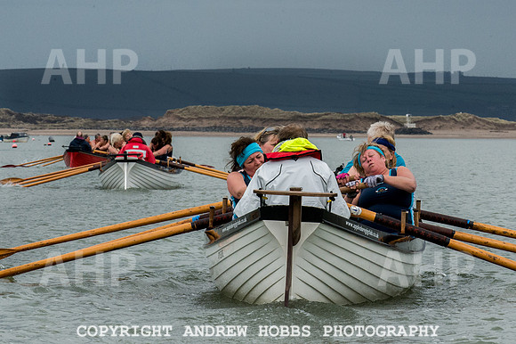 Appledore Supervets 2016-6122