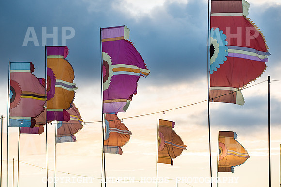 Camp Bestival 2016-6406