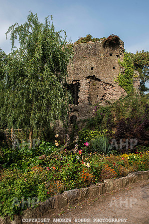 Tiverton Castle 018