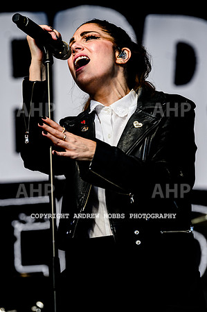 The Interrupters - Beautiful Days 2022-9847