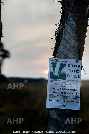 First Camp Badger_8971