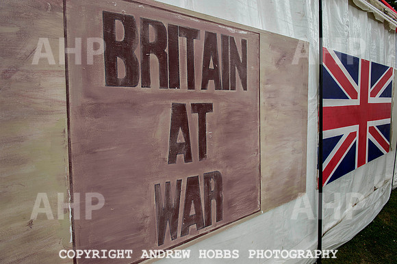 Taunton Flower Show 2014 028